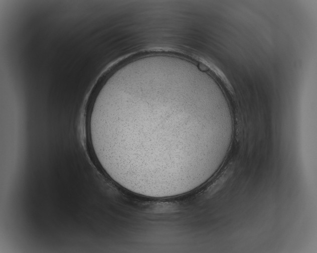 X0000100360984200806271420