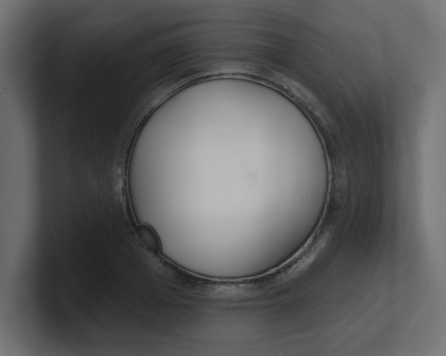 X0000100360985200806271420