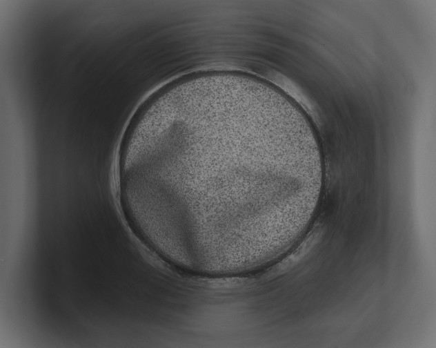 X0000100360988200806271420