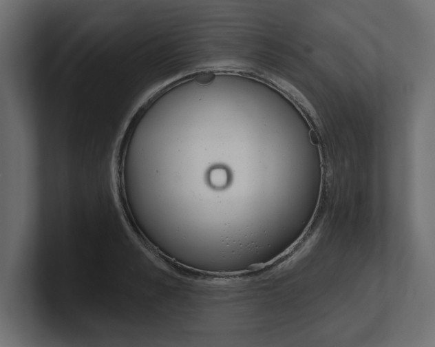 X0000100360989200806271420