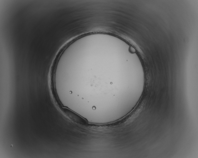 X0000100360991200806271420