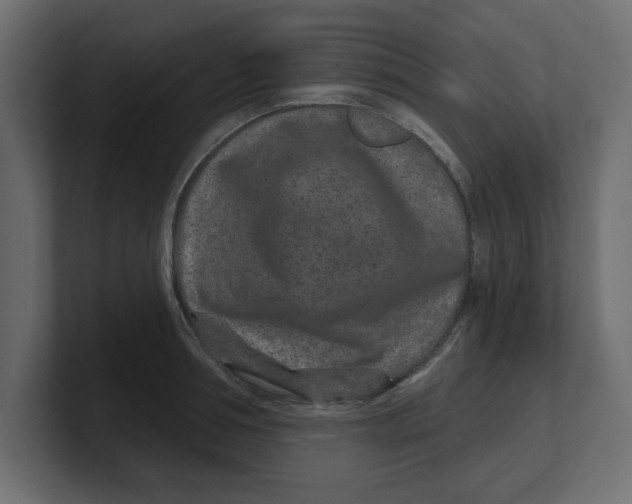 X0000100360994200806271420