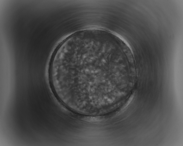 X0000100360995200806271420