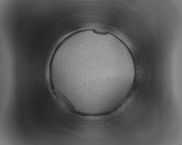 X0000100360996200806271420