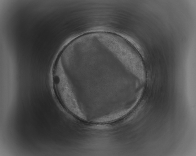 X0000100360998200806271420