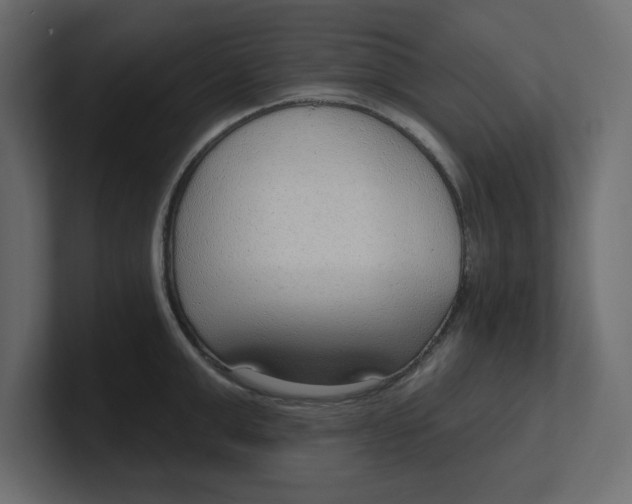 X0000100360999200806271420