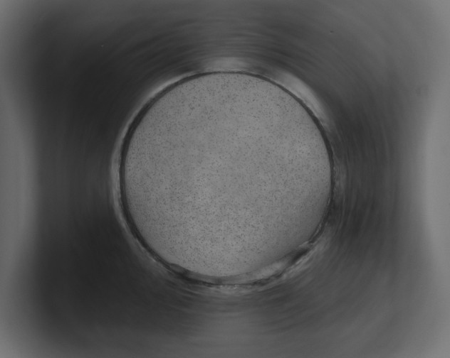 X0000100361000200806271420