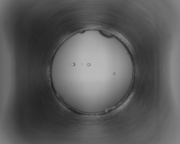 X0000100361001200806271420