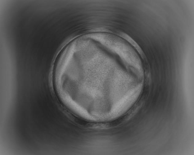 X0000100361002200806271420