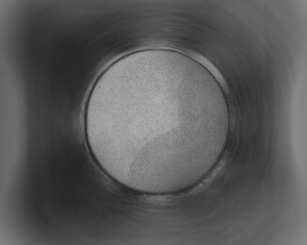 X0000100361004200806271420