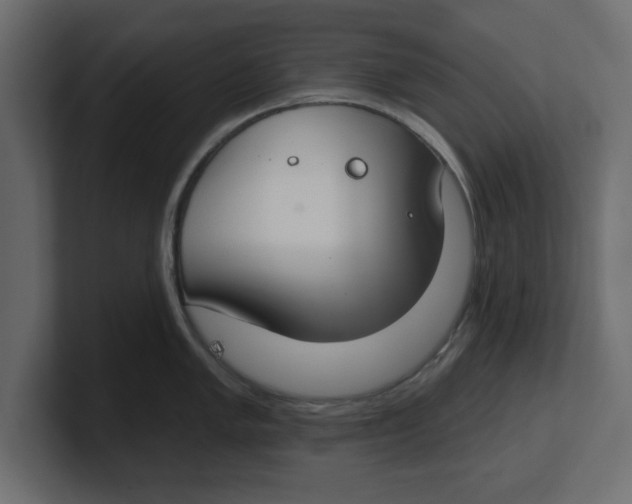 X0000100361005200806271420