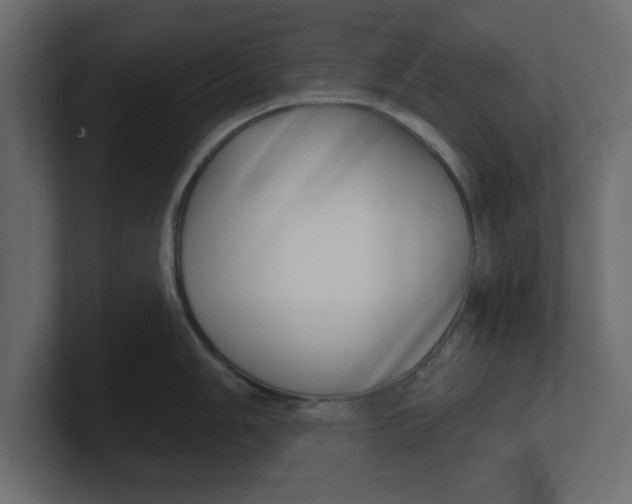 X0000100361006200806271420