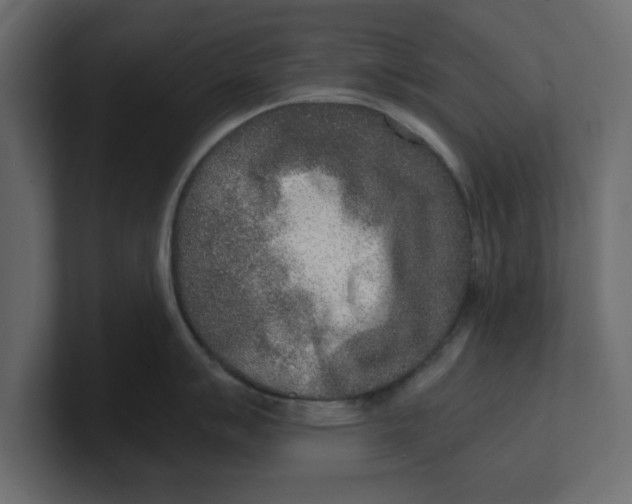 X0000100361007200806271419