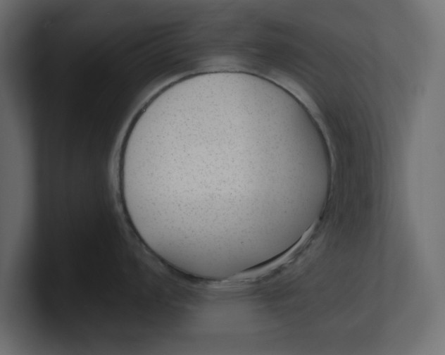 X0000100361008200806271419