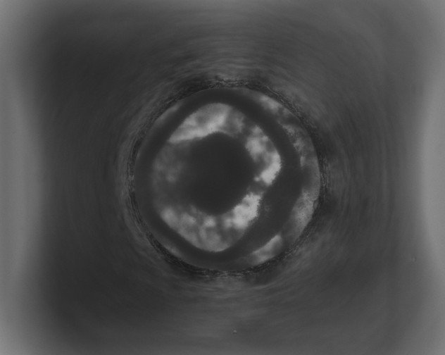 X0000100361009200806271419