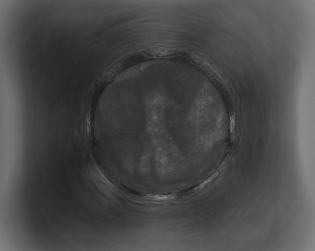 X0000100361011200806271419