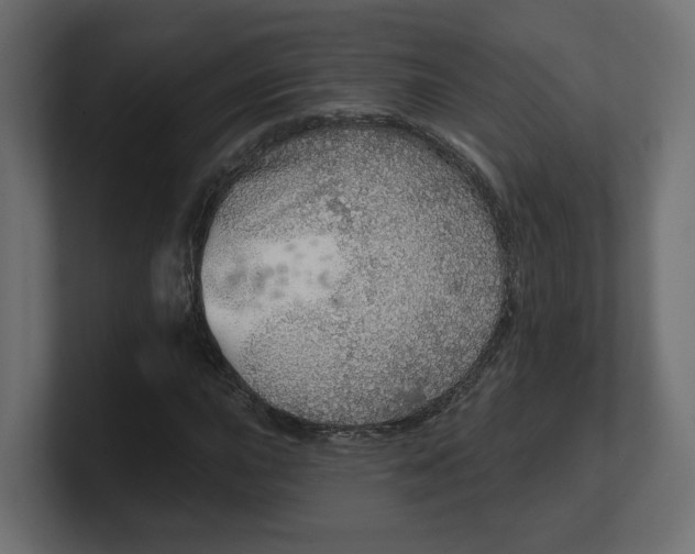 X0000100361015200806271419