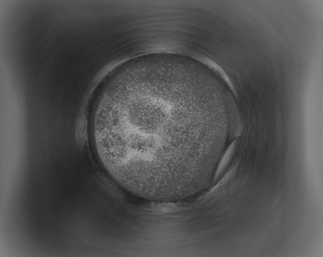 X0000100361019200806271419