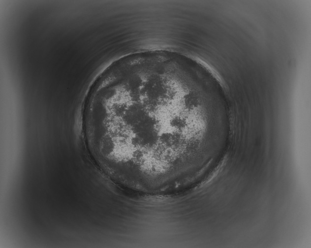 X0000100361023200806271419