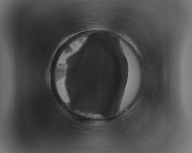 X0000100361024200806271419