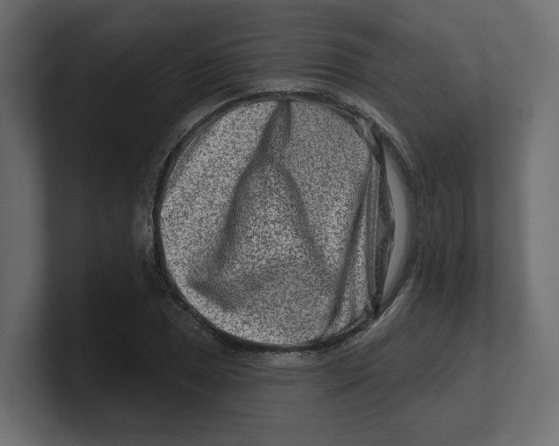 X0000100361025200806271419