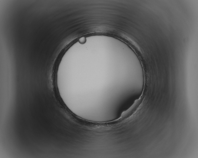 X0000100361026200806271419