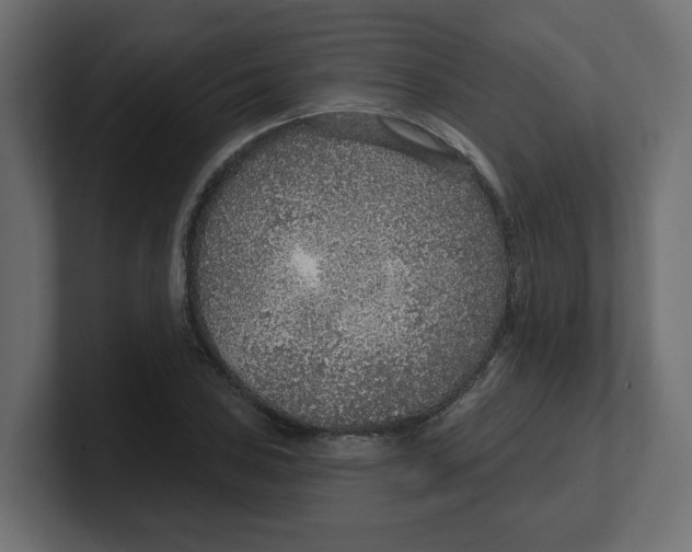 X0000100361027200806271419