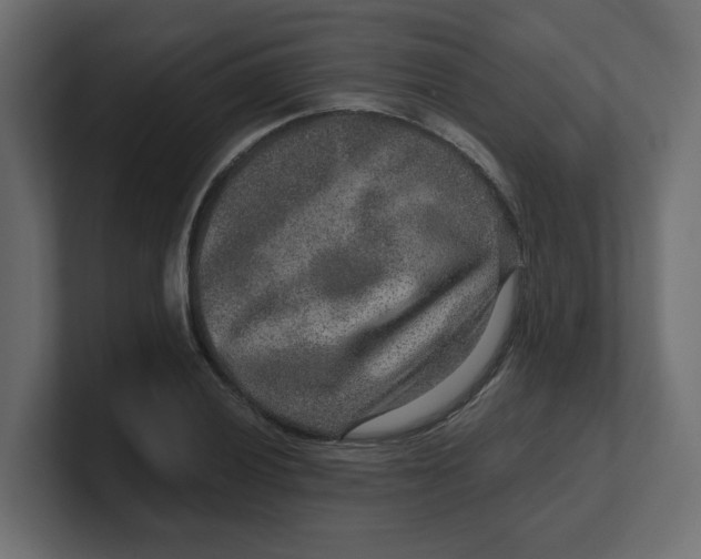 X0000100361028200806271419