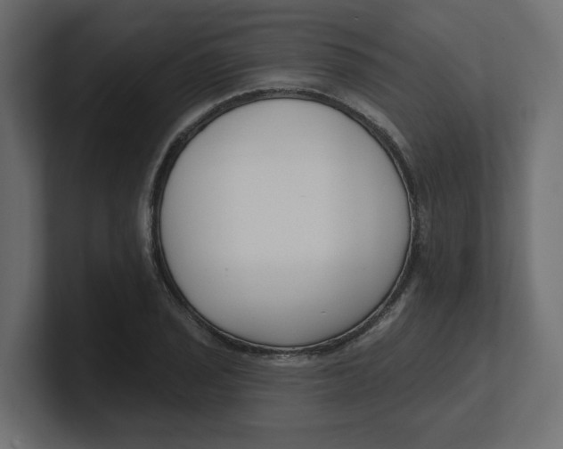 X0000100361029200806271419