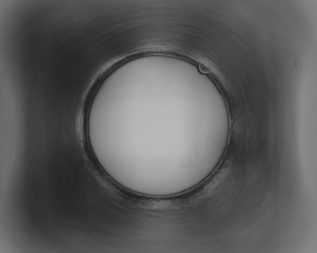 X0000100361030200806271419