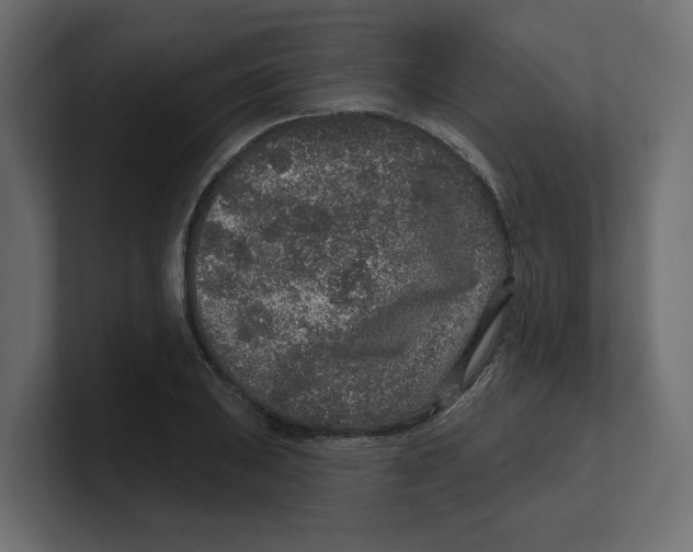 X0000100361031200806271419