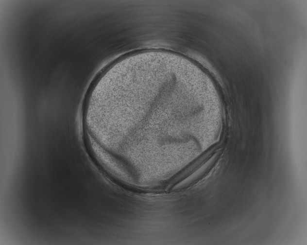 X0000100361032200806271419