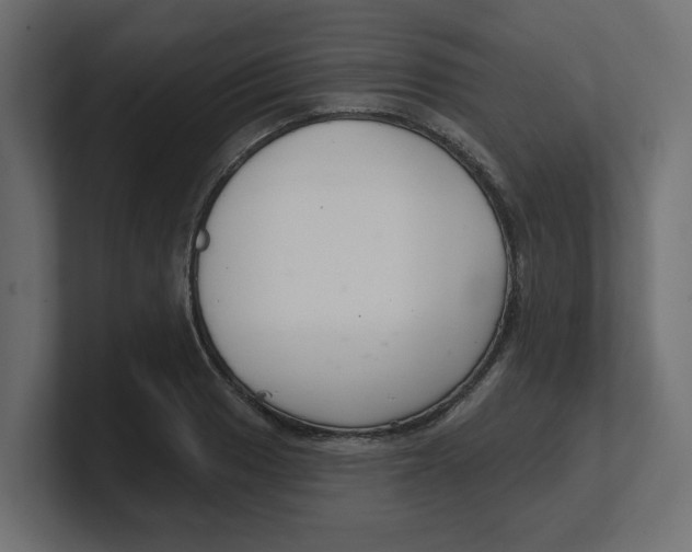 X0000100361033200806271419