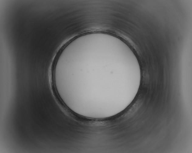 X0000100361034200806271419