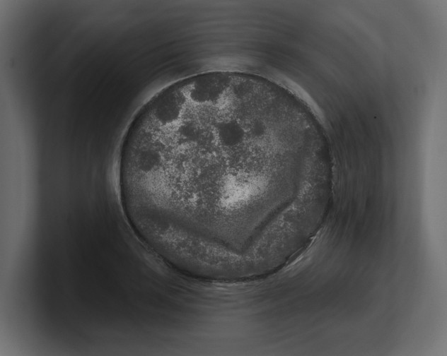 X0000100361035200806271419