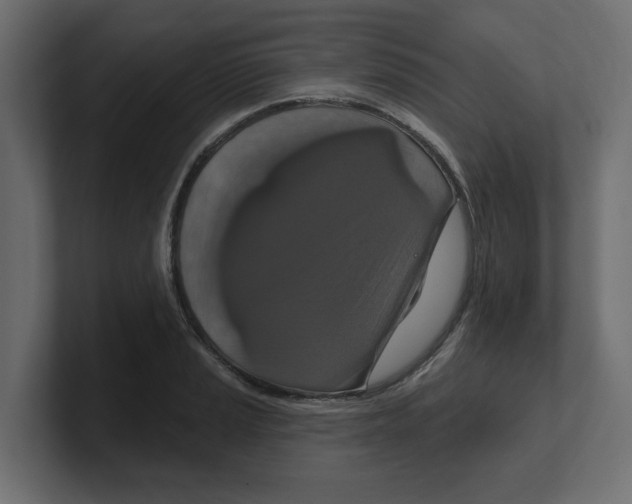 X0000100361037200806271419