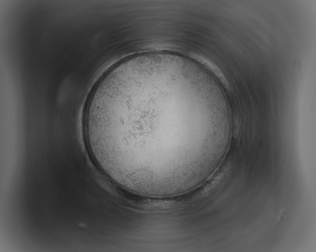 X0000100361039200806271419