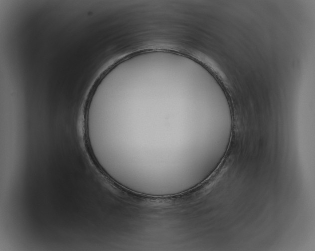 X0000100361040200806271419