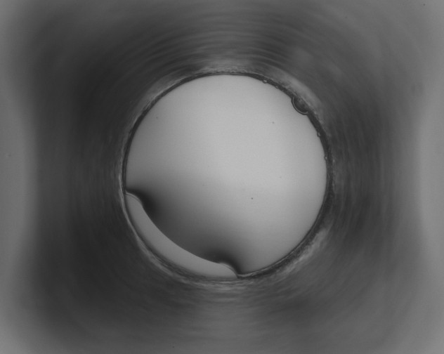 X0000100361041200806271419