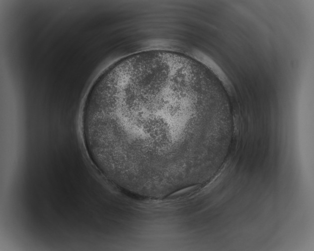 X0000100361043200806271419