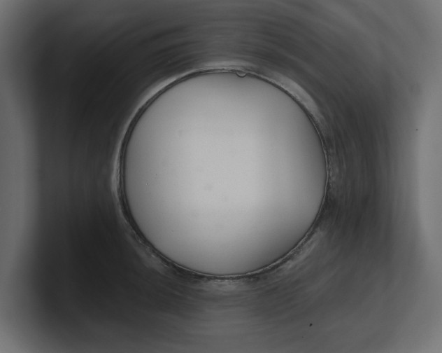 X0000100361044200806271419