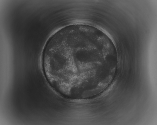 X0000100361045200806271419