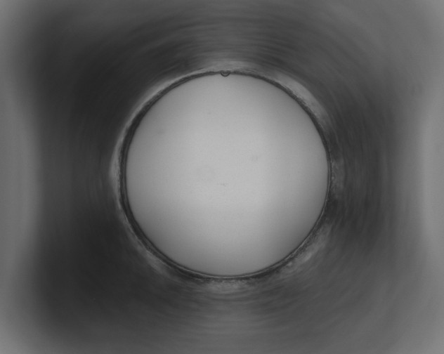 X0000100361046200806271419