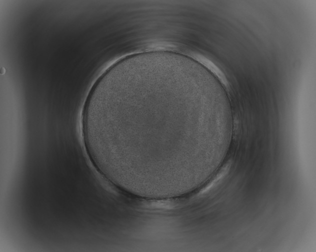 X0000100361047200806271419