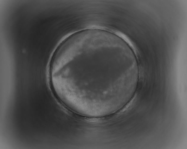 X0000100361048200806271419