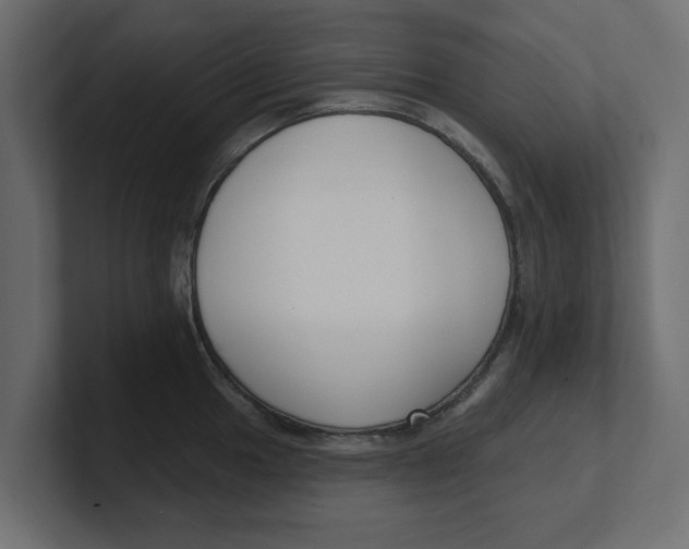 X0000100361049200806271419