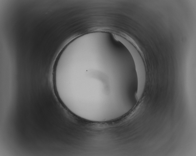 X0000100361050200806271419