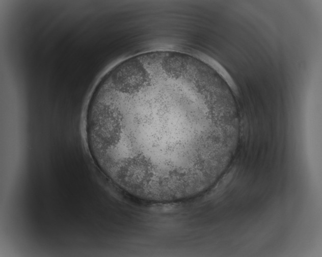 X0000100361051200806271419