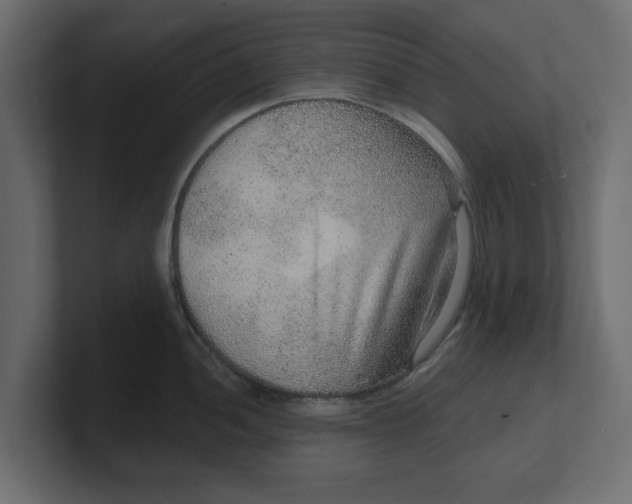 X0000100361052200806271419