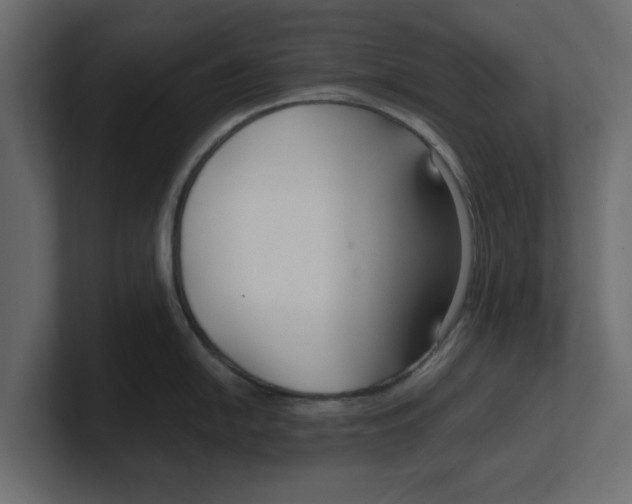 X0000100361054200806271419